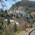 Swaziland service 2018